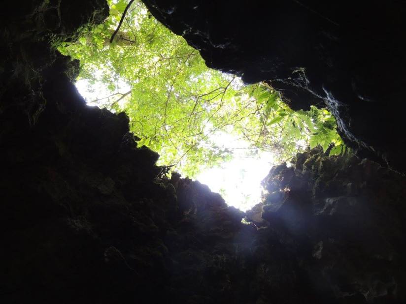 A view of the outside from inside of the cave